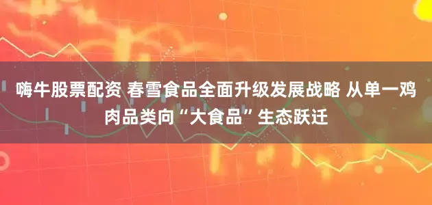 嗨牛股票配资 春雪食品全面升级发展战略 从单一鸡肉品类向“大食品”生态跃迁