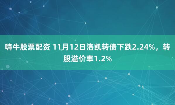 嗨牛股票配资 11月12日洛凯转债下跌2.24%，转股溢价率1.2%