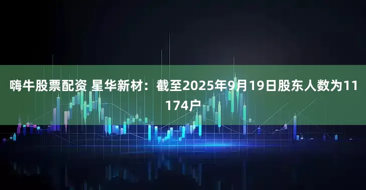 嗨牛股票配资 星华新材：截至2025年9月19日股东人数为11174户