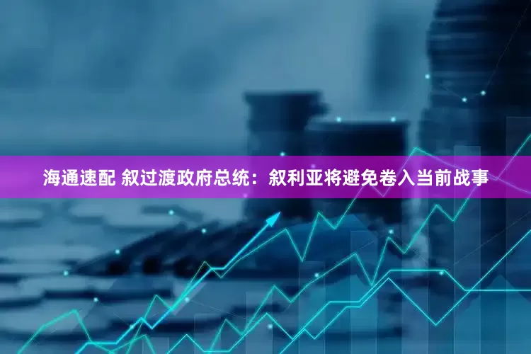 海通速配 叙过渡政府总统：叙利亚将避免卷入当前战事